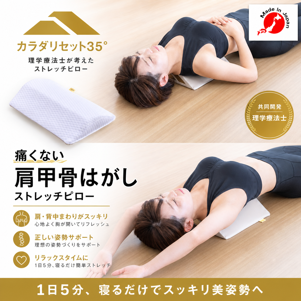 カラダリセット35° 肩甲骨はがし用ストレッチピロー